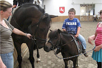 Reiten für MmB, inklusives Voltigieren